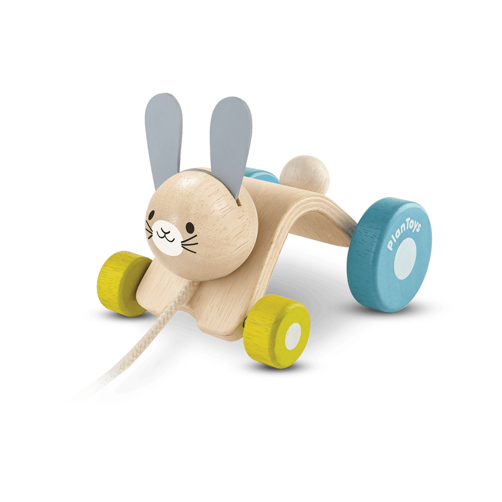 HOPPING RABBIT