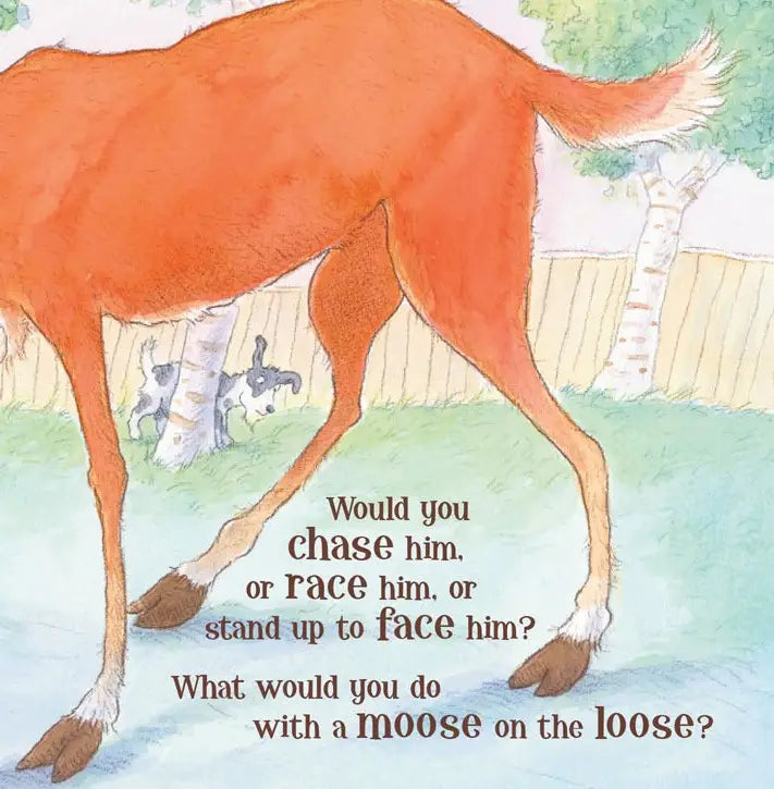 MOOSE ON THE LOOSE