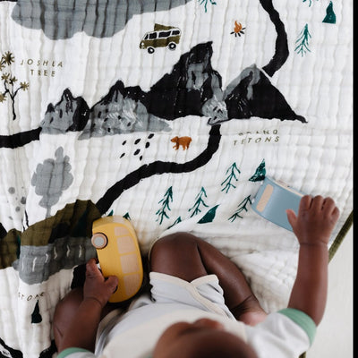 NATIONAL PARKS REVERSIBLE QUILT